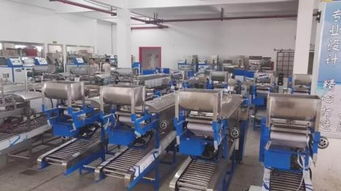 面条机与食品加工机械 胖掌柜食品机械厂的创新与价值